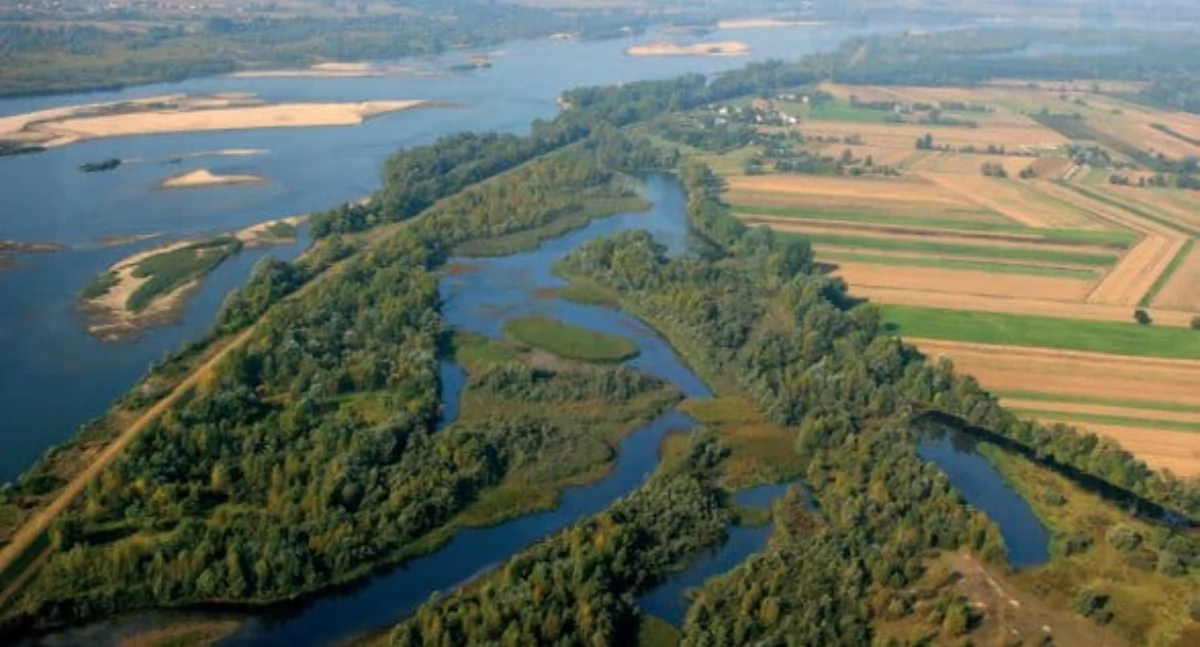 Wody Wisły i Wieprza rosną. Czy mieszkańcy powiatu Ryckiego są zagrożeni?