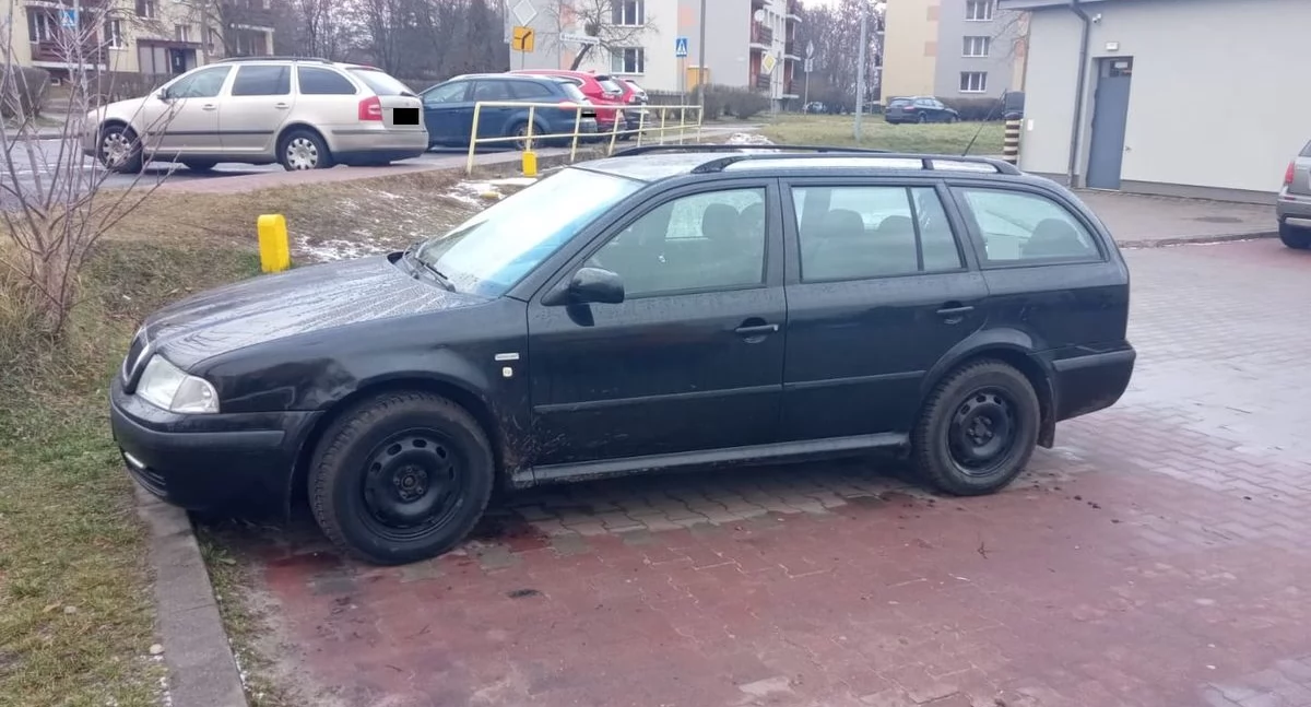 fot. Policja Ryki