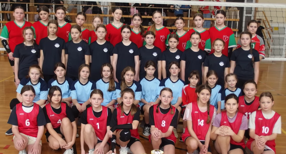 Siatkówka, Rycka jedynka najlepsza powiecie - zdjęcie, fotografia