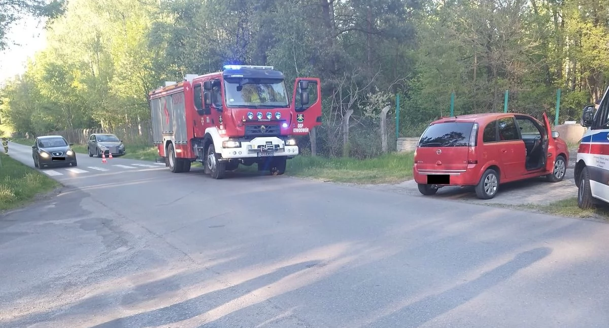 fot. Policja Ryki