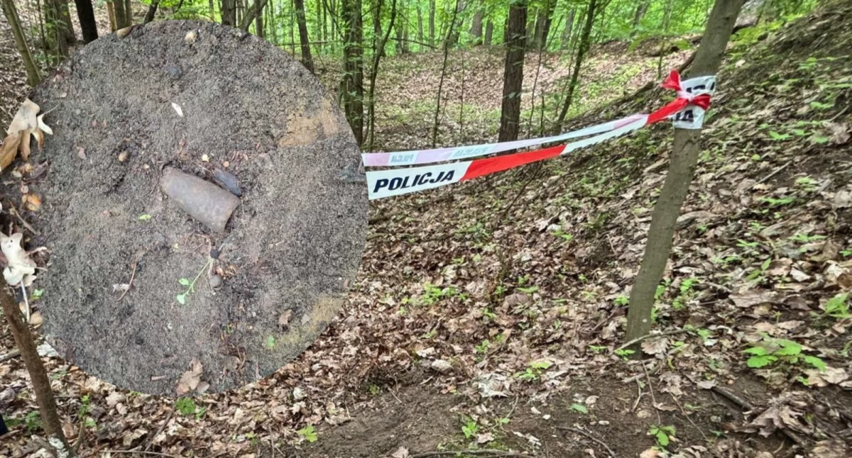 Straż i Policja, Sensacyjne znalezisko Dęblinie! Spacer lesie zakończony odkryciem wojennych niewybuchów - zdjęcie, fotografia