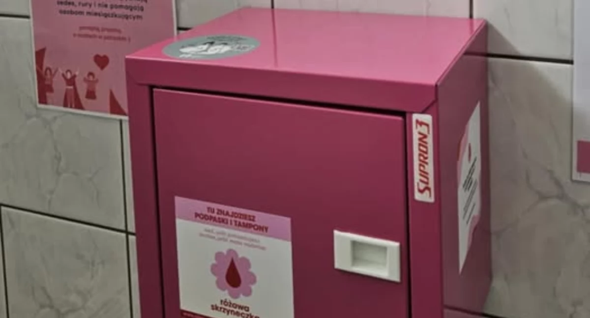 fot. Publiczna Szkoła Podstawowa nr 2 im. Jana Pawła II w Rykach