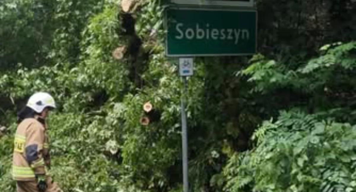fot. OSP Sobieszyn