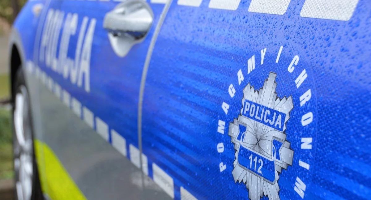 zdj. ilustracyjne