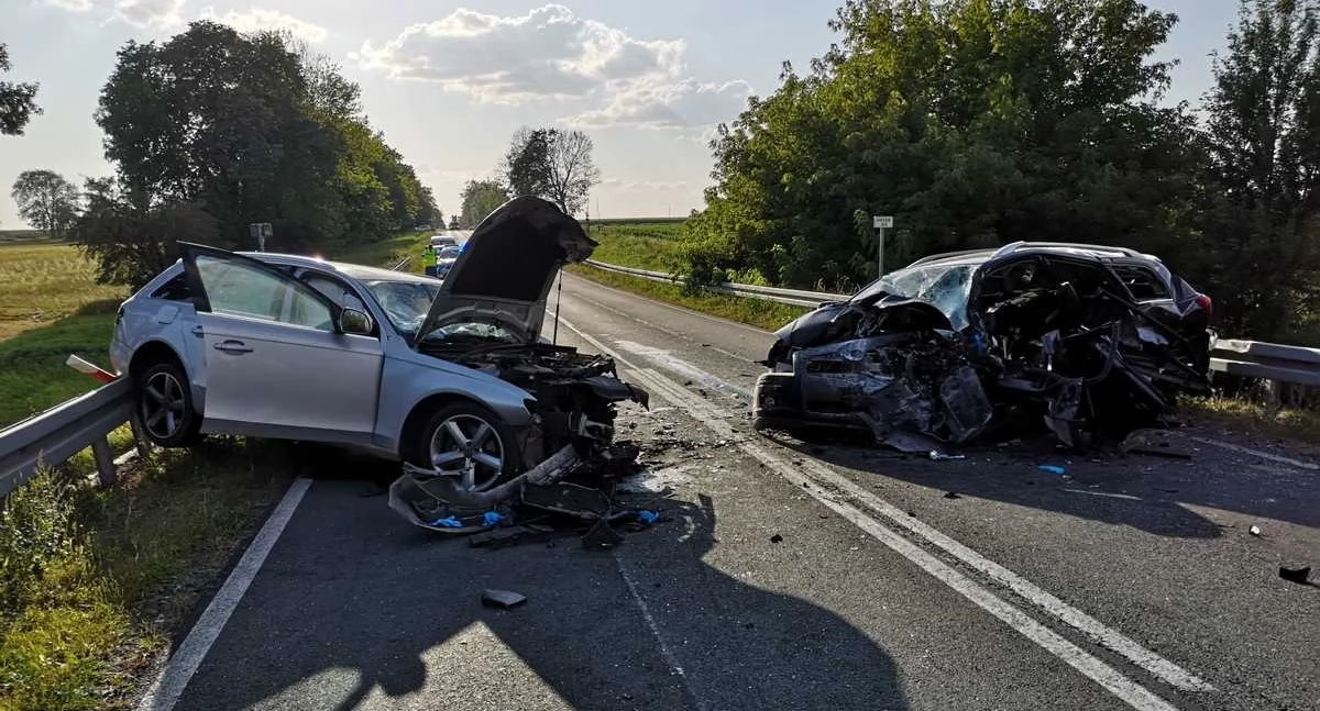 fot. Policja Ryki