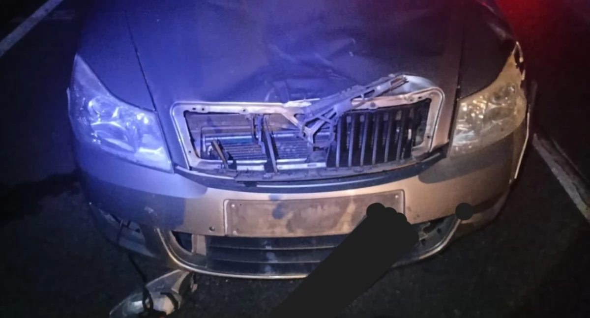fot. Policja Ryki