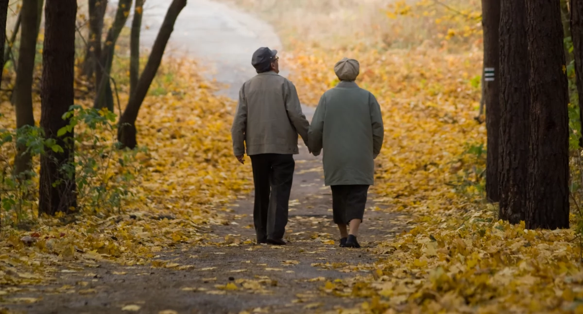 Społeczeństwo, Październik miesiącem seniorów Nowodworze! zaprasza spotkań ekspertami - zdjęcie, fotografia