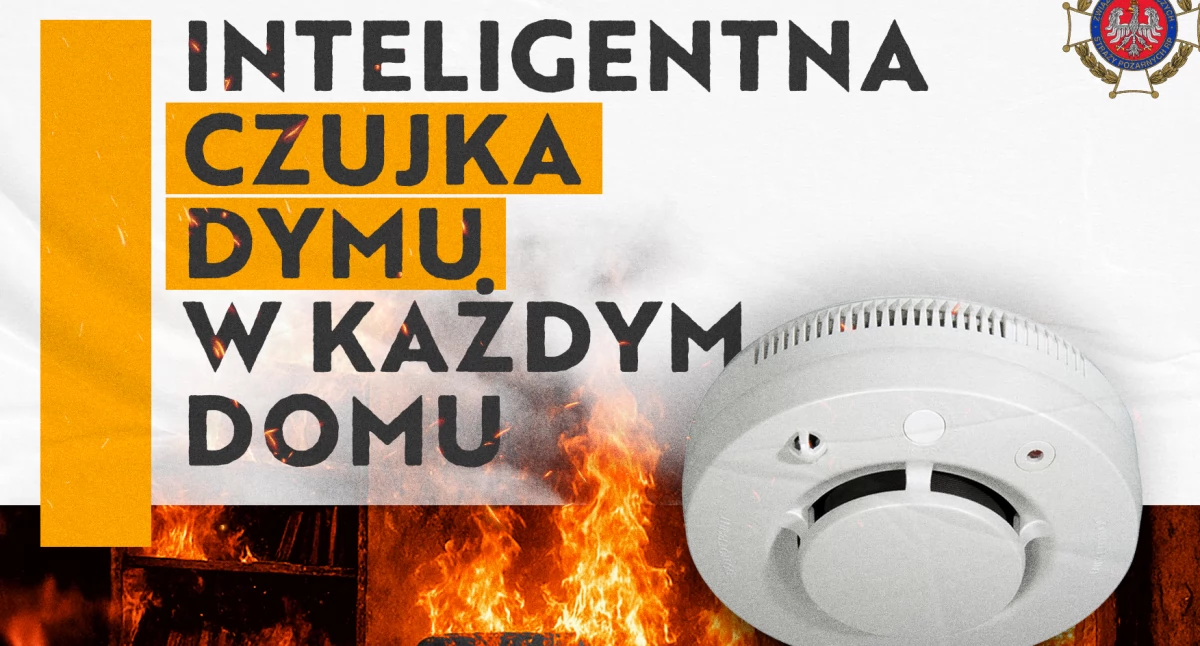 Straż i Policja, Tragedia Puławach przypomina Czujki tlenku węgla ratują życie! - zdjęcie, fotografia