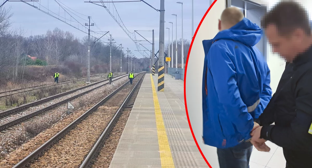 Zdjcie: Policjanci zatrzymali 38-letniego mężczyznę z powiatu tarnobrzeskiego. Decyzją sądu został on tymczasowo aresztowany na trzy miesiące, fot. KPP Ryki