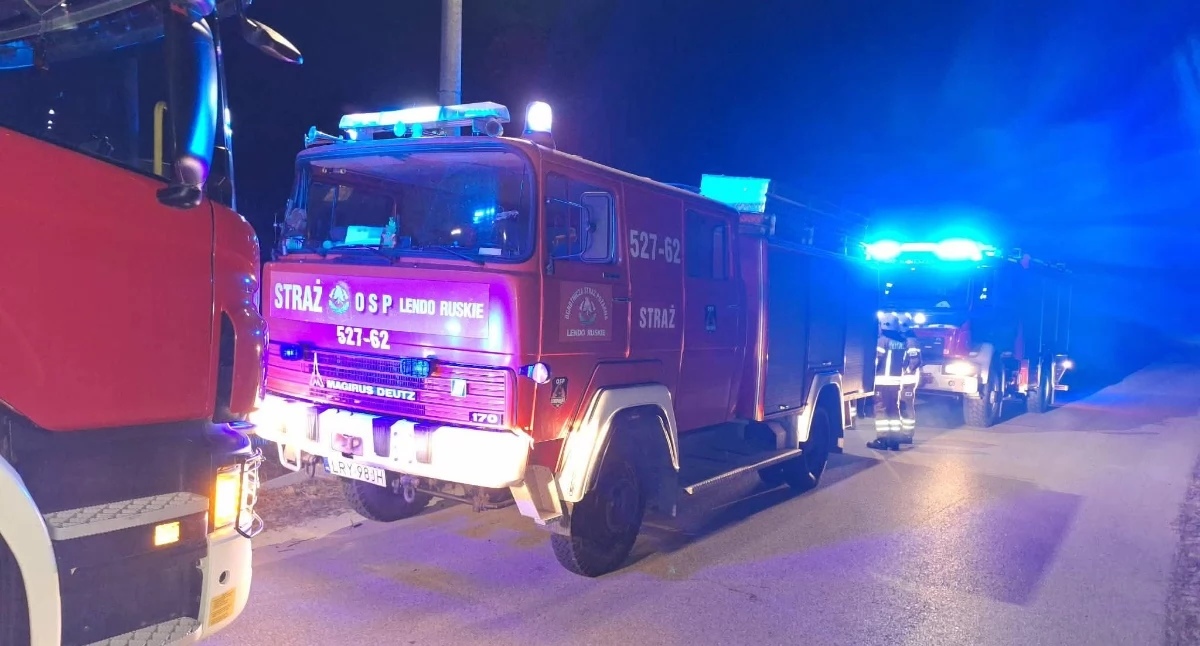 Pożary, Pożar przewodzie kominowym Strażacy szybko opanowali zagrożenie - zdjęcie, fotografia
