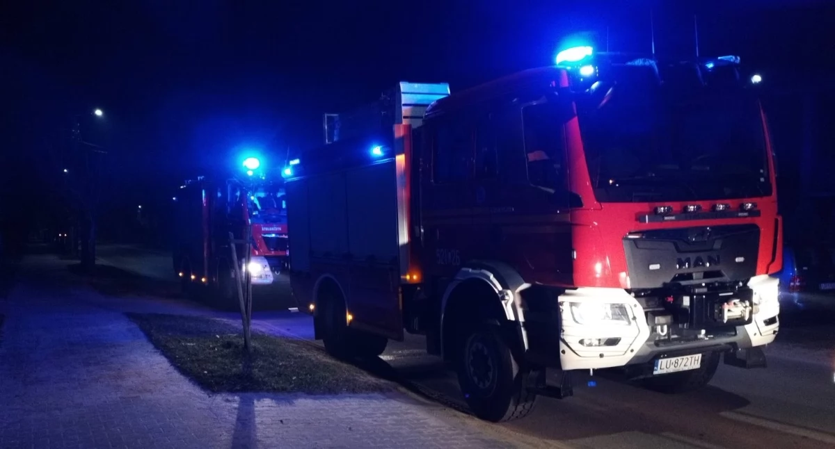 Pożary, Płonące przyłącze energetyczne Straż opanowała ogień - zdjęcie, fotografia