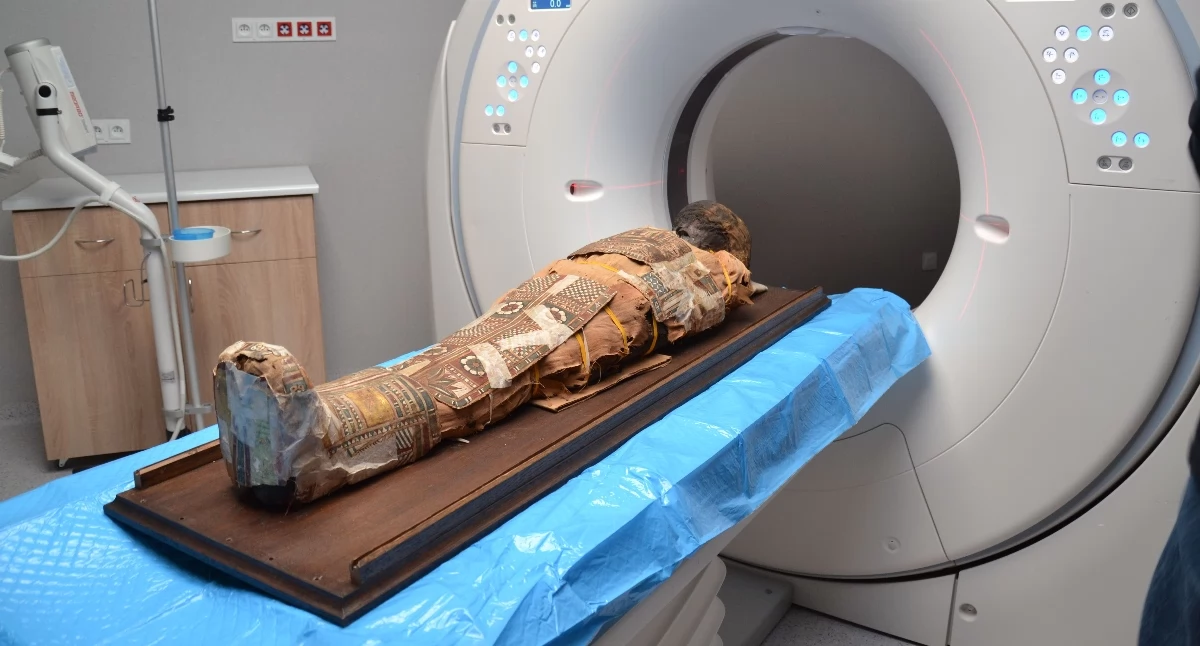 Fot: Urząd Marszałkowski Województwa Lubelskiego w Lublinie