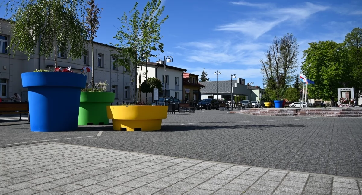 Kolorowe donice ozdobiły betonowy plac przy Urzędzie Miasta