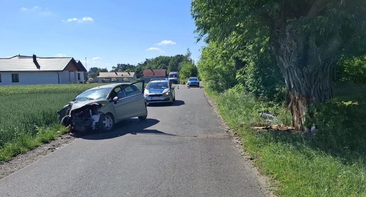Wypadki Drogowe, Tragiczny wypadek Swatach Kierowca forda zginął uderzeniu drzewo - zdjęcie, fotografia