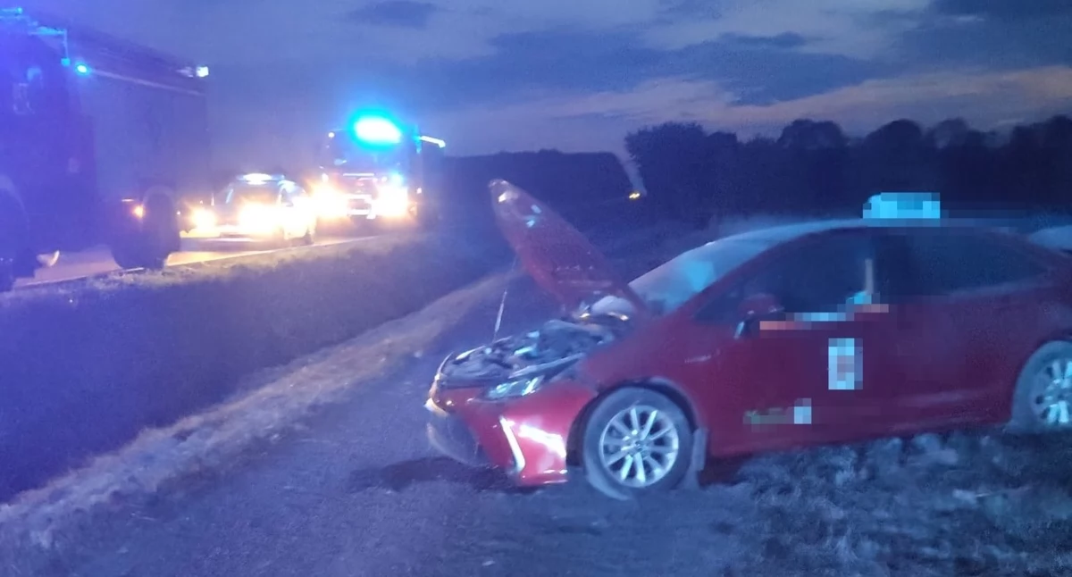Wypadki Drogowe, Pijany latek rozbił Miał blisko promila alkoholu - zdjęcie, fotografia