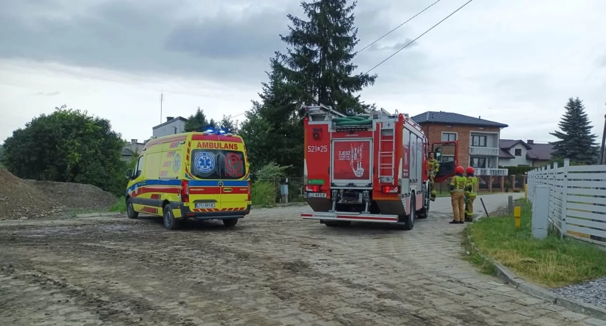 Interwencje Straży i Policji, Wypadek pracy Nadwiślance Strażacy ruszyli pomoc poszkodowanemu - zdjęcie, fotografia