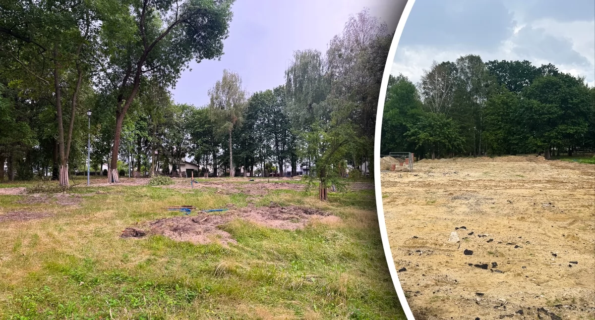 Społeczeństwo, Mieszkańcy zaniepokojeni wycinką drzew parku Jarmołówka Burmistrz wyjaśnia - zdjęcie, fotografia