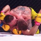 zdjęcie nr 46
