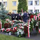 zdjęcie nr 43