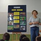 zdjęcie nr 10