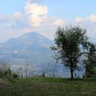 zdjęcie nr 43