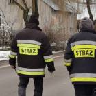 Fotka nr 1 z 6