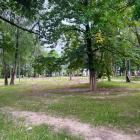 zdjęcie nr 31