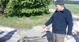 Dziura w drodze 