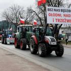 zdjęcie nr 25