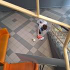 zdjęcie nr 16