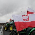 zdjęcie nr 43