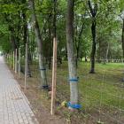 Fot: Materiały redakcyjne 