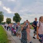 zdjęcie nr 14