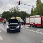 Fotka nr 5 z 7