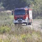 Fotka nr 2 z 13