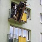 zdjęcie nr 8