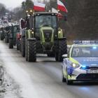 zdjęcie nr 19
