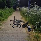 Fotka nr 1 z 2