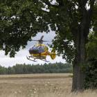 Fotka nr 1 z 13