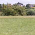 zdjęcie nr 77