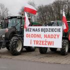 zdjęcie nr 12