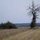zdjęcie nr 45