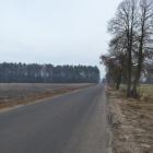 Fotka nr 1 z 10
