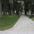 Fotka nr 5 z 33
