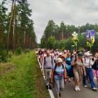 zdjęcie nr 39