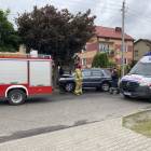 Fotka nr 2 z 16