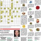 zdjęcie nr 23