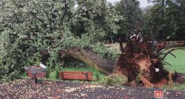 Tornado nad Edwardowem