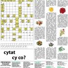 zdjęcie nr 27