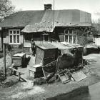 zdjęcie nr 7